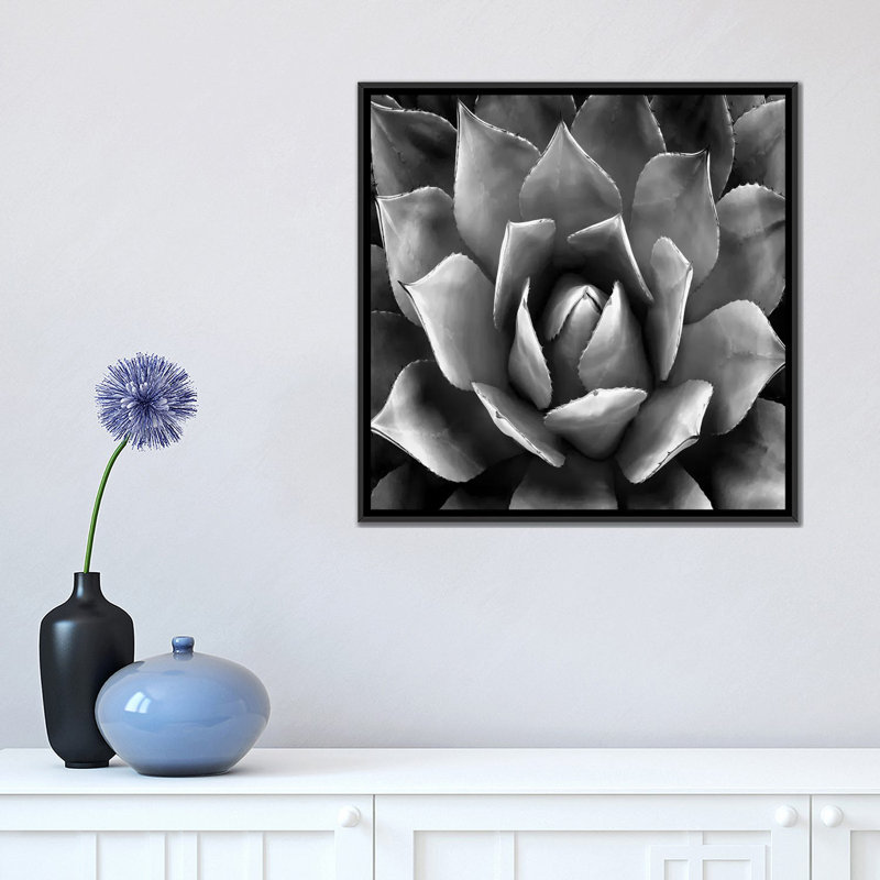 «Succulent II», impression sur toile, H 18 po x l 18 po x P 1,5 po, Toile avec cadre noir, Pas de tapis