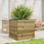 2 Wood Planter-100491984-100491989