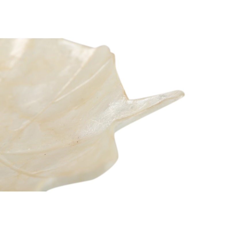 Capiz Rect. Dish 32,5x27x4 Cm, White