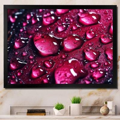 " Red Rose With Raindrops VII "
