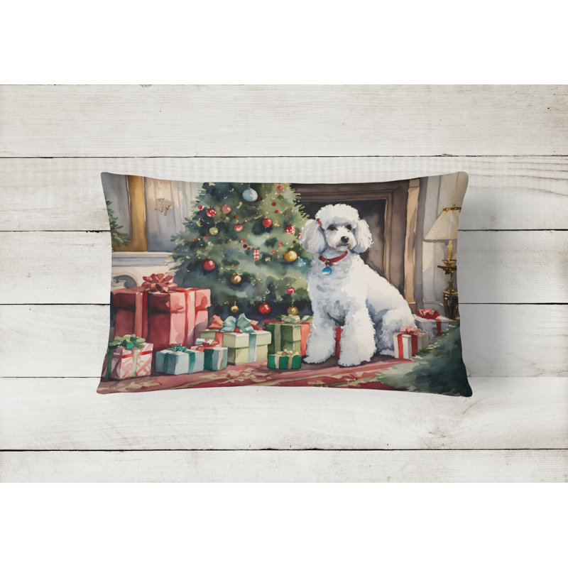  Other/No Pattern Throw Pillow