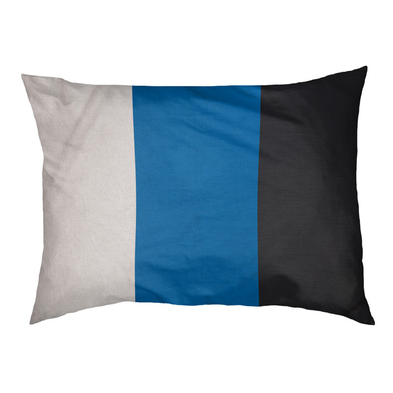 Coussin Golden State, Moyen (l 28 po x P 18 po x H 9,5 po), Blanc / bleu royal / ardoise