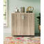 Ekaterini 2 -Door 1 -Shelf Storage Cabinet