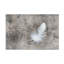 «White Feather» par Cora Niele - photographie sur toile tendue-916719846