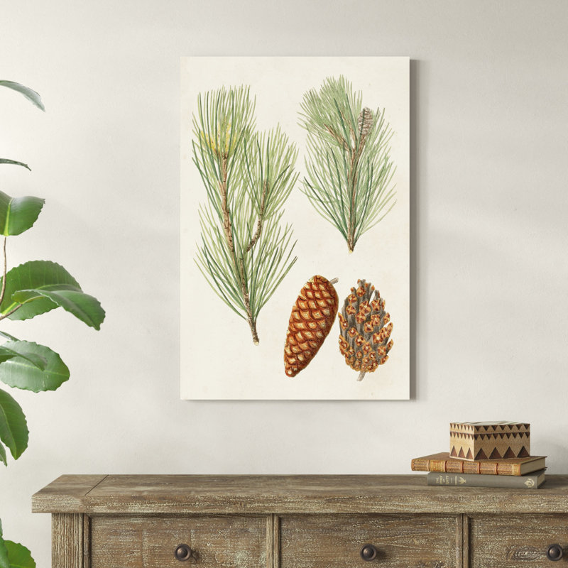 " Antique Pine Cones I ", 36" H x 24" W