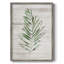 «Tropic Frond II», reproduction encadrée - bois massif 47759-367149628