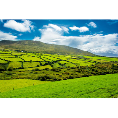 " Pastures In Ireland "