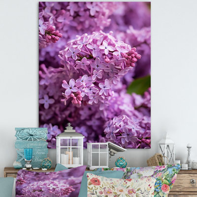 " Purple Lilac Fragrant Flowers I "
