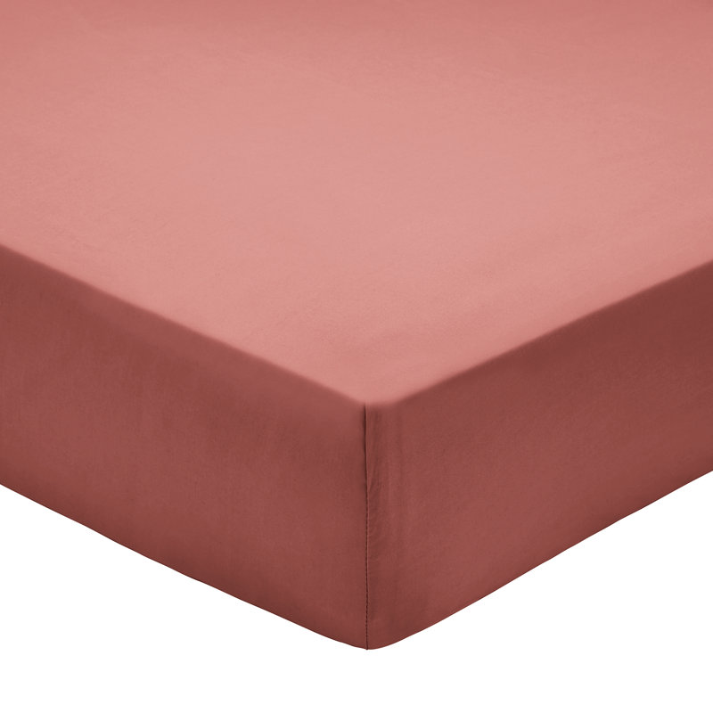 Bedeck of Belfast BOB 200 TC PIMA COTTON Percale Fitted Sheet, Single (3'), Cream