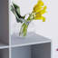 96.5cm H x 96.5cm W Bookcase-69834630