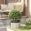 Raised Garden Bed
