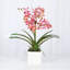Faux Orchid Plant In White Vase-1049804023-1049804020