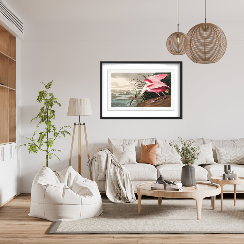 Nature Inspired Roseate Spoonbill From Birds Of America (1827), 16" H x 24" W