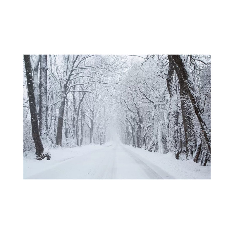 Going Home by Aledanda - Wrapped Canvas Print, 20.32 cm H x 30.48 cm W