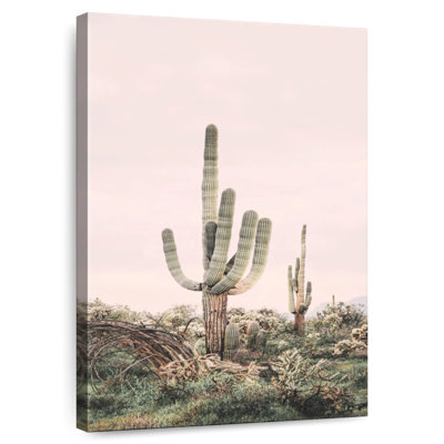Harnek Blush Shy Cactus