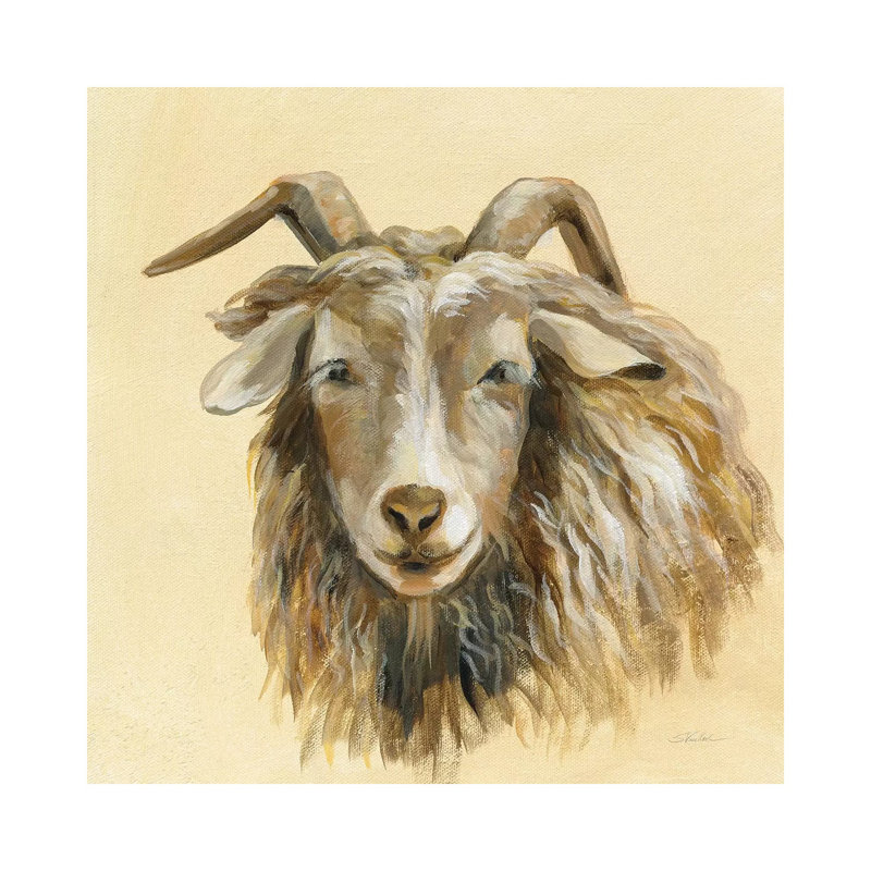 Highland Animal Sheep by Silvia Vassileva - Wrapped Canvas Gallery-Wrapped Canvas Giclée, 30.48cm H x 30.48cm W