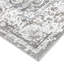 Royal Oriental Area Rug in Shadow-77040361