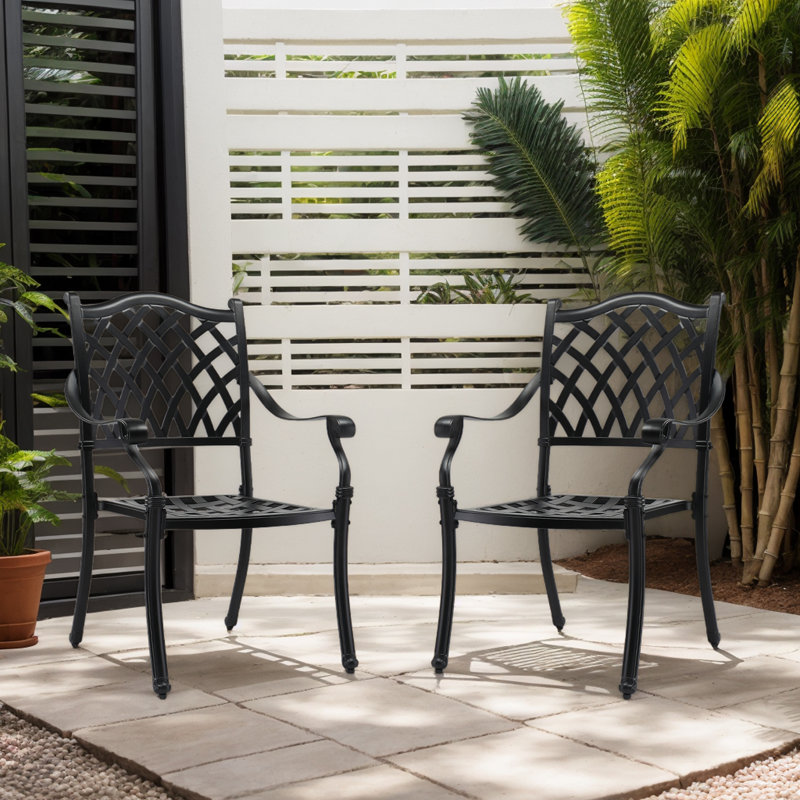 Ensemble de chaises d'extérieur en fonte d'aluminium (ensemble de 2)