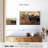 Jersey Cow Line Up-107702069