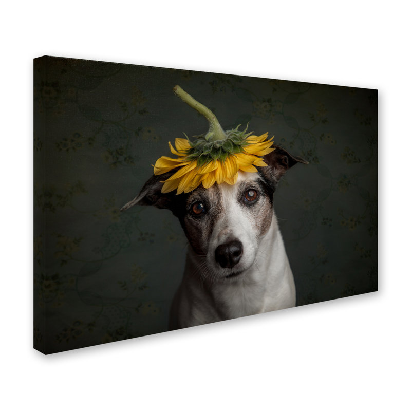 « look like a tournesol », reproduction de photo sur toile tendue, H 22 po x l 32 po