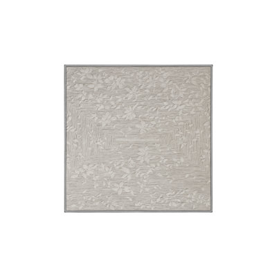 Tapis gris soyeux et moelleux
