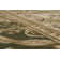 Tapis vert persane Atterbury