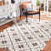 Rodrigez Hand Hooked Performance Geometric Rug