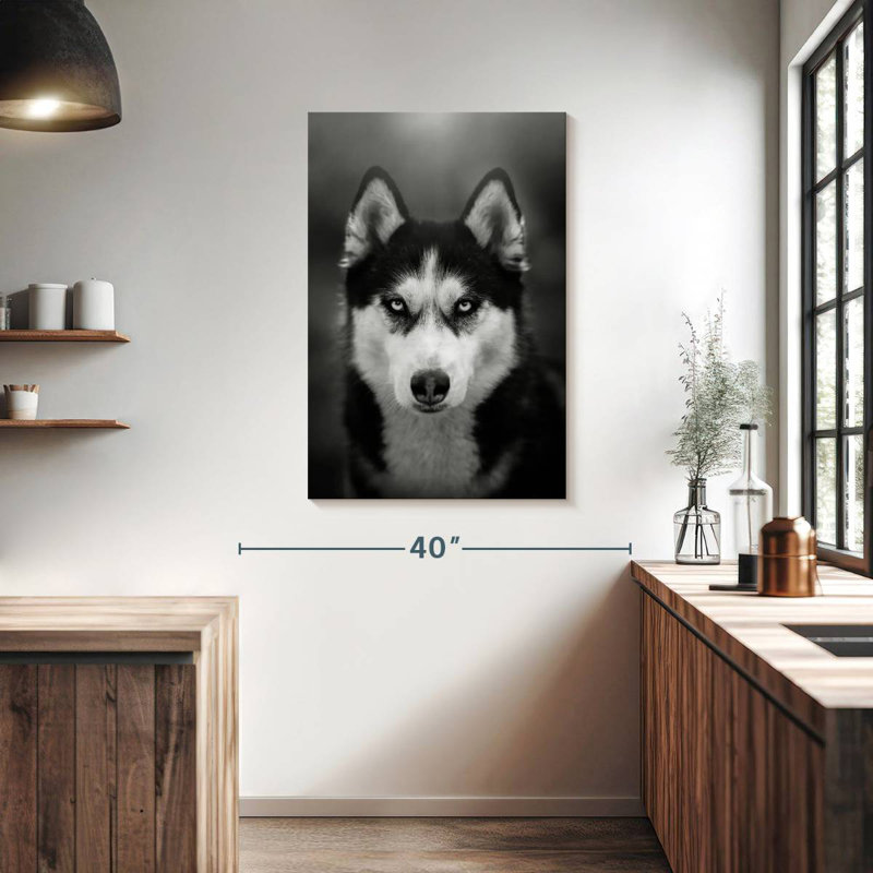 Brampt Serious Siberian Husky, 39" H x 26" W