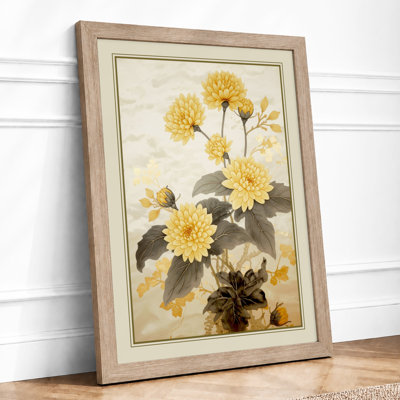 Chrysanthemum Study Botanical - Framed Print