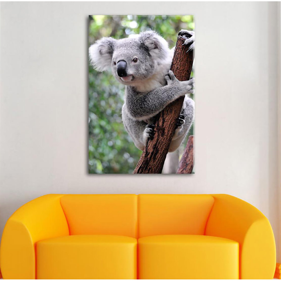 Leinwandbild Neugieriger Koala auf Baumstamm