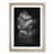 Oak Framed selected
