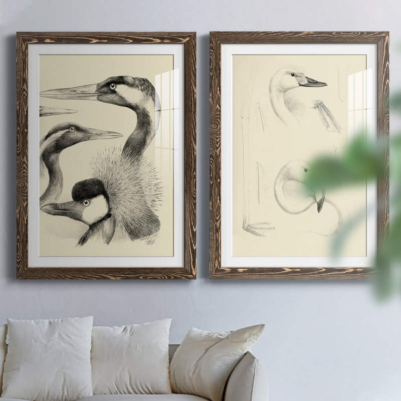 «Waterbird S Croquis», ensemble de 2 reproductions de dessins encadrés, H 37,5 po x l 55 po x P 1,5 po, Papier, cadre noyer