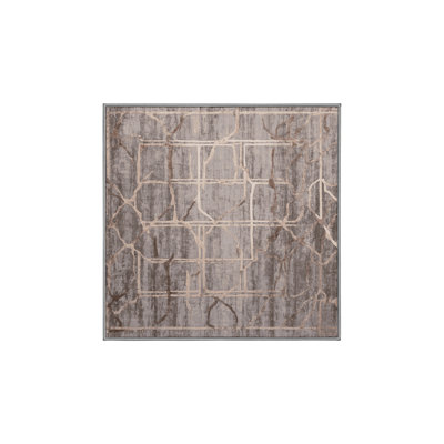 Machine Washable Gray Area Rug