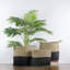 Table ronde et paniers de plancher-50826612-50826613