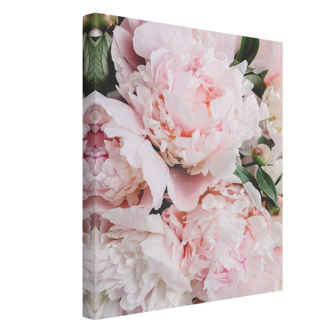 Leinwandbild Light Pink Peonies