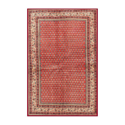 Oriental Indoor Rug