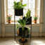 Support à plantes à 6 niveaux avec pots et tablettes intégrés, support à fleurs autoportant en métal pour le rangement décoratif intérieur et extérieur