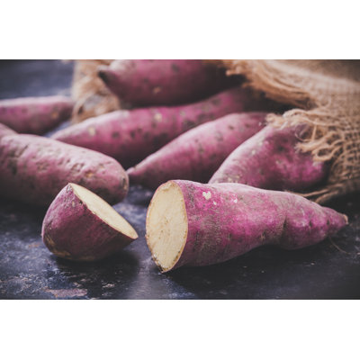 Sweet Potatoes - Wrapped Canvas Print