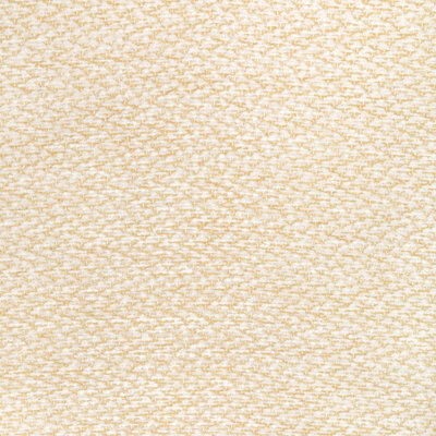 Chambery Textures III Sasson Cotton Blend Fabric