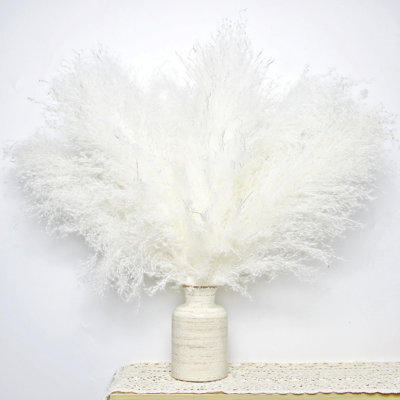 17'' Pampas Grass Grass