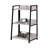 Ahlexis Ladder Bookcase with Open Compartments-1822649931-1822649929