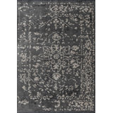 Rapture Oriental Area Rug