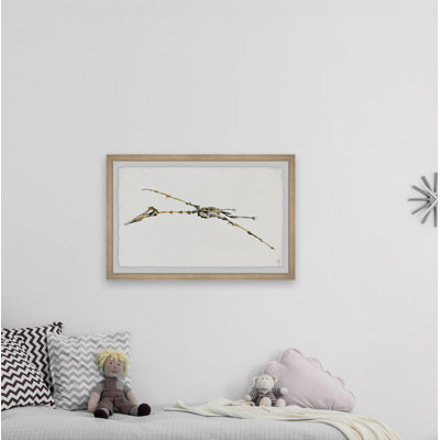 «Brokaw Pterodactyl Skeleton», reproduction encadrée