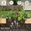 Lit de jardin en bois 8 x 4 pi avec 15 pouces de profondeur pour les fleurs / légumes / herbes dans le jardin extérieur