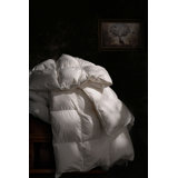 Debrecen 750 Loft Hungarian White Goose Down 500TC Comforter