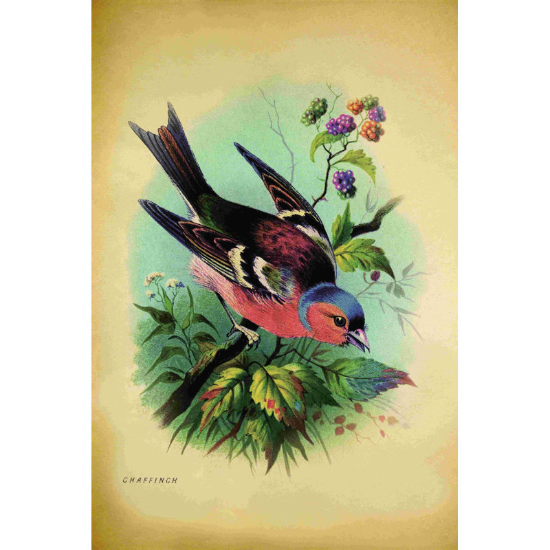 Oiseau, impression sur toile tendue, H 18 po x l 12 po