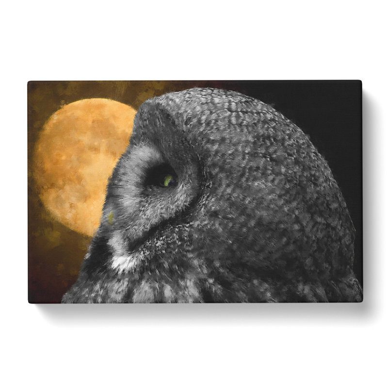 Great Grey Owl Vol.1 - Wrapped Canvas, 35cm H x 50cm W x 3cm D