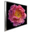 Floral majestueux II - photographie-955685956-955685957