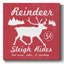 «Reindeer Rides I» sur toile-527059186