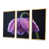 Toile avec cadre flottant or